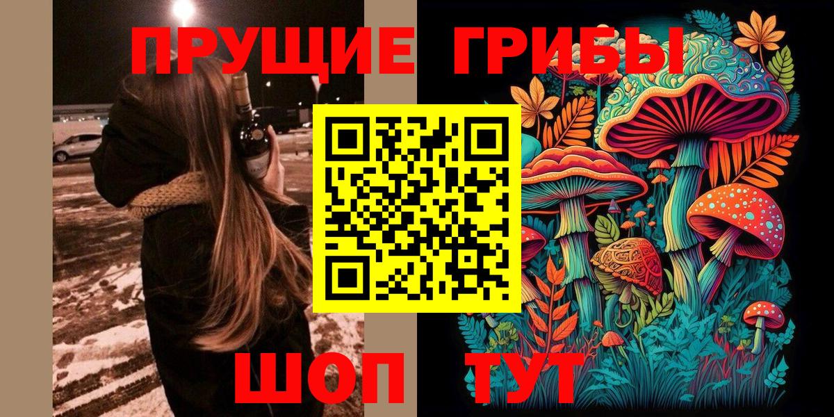 Чебаркуль  дарнет шоп  Вход с VPN  Псилоцибиновые грибы мицелий 